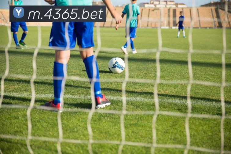 bet365中国官网登录入口平台生态图